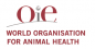 Technical Officer Antimicrobial Resistance, OIE Sub-Regional Representation for Eastern Africa