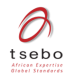 Finance Controller – Tsebo International