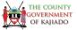 Livestock Production Officer Assistant Agricultural Officer Fisheries Officer Veterinary Officer Economist/Statisticians Internal Auditors Procurement Officer Accountant II Revenue Clerk Finance Officer