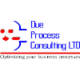 Business Process Analyst