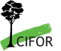 Center for International Forestry Research (CIFOR) 

Consultant- Spatial Data Scientist