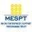 Consultancy for Assessment of MESPT Financial Inclusion to Small and Medium Enterprises (SMEs)