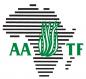 Technology Transfer Officer-TAAT Maize Compact