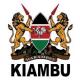 Kiambu County Government logo