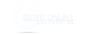 Exotic Online Advertising logo
