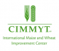 International Maize and Wheat Improvement Center (CIMMYT) logo