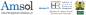 Africa Management Solutions Limited (AMSOL) logo