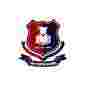 The Playpin School logo